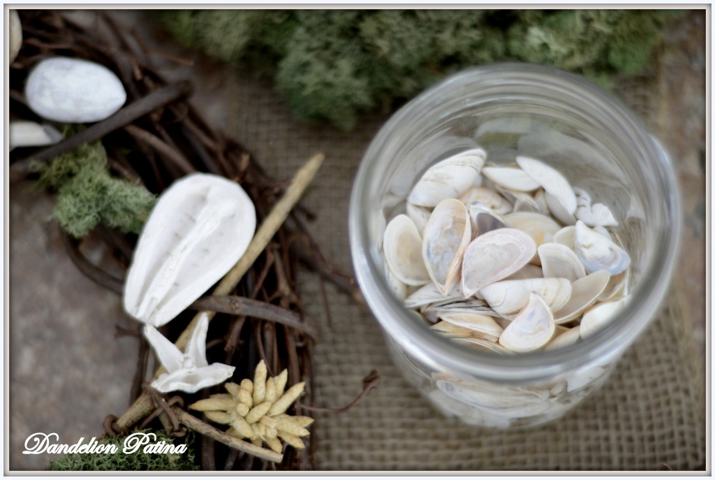 zebra mussel wreath