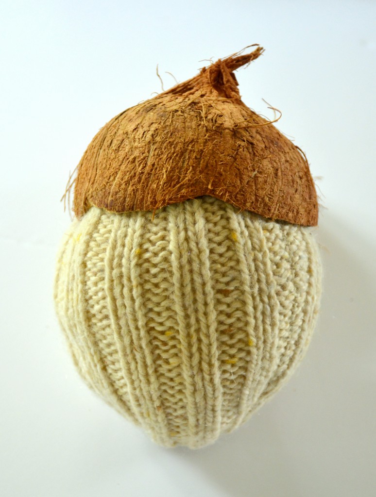 coconutty sweater acorns by dandelion patina