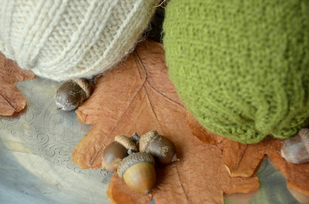 coconutty sweater acorns by dandelion patina