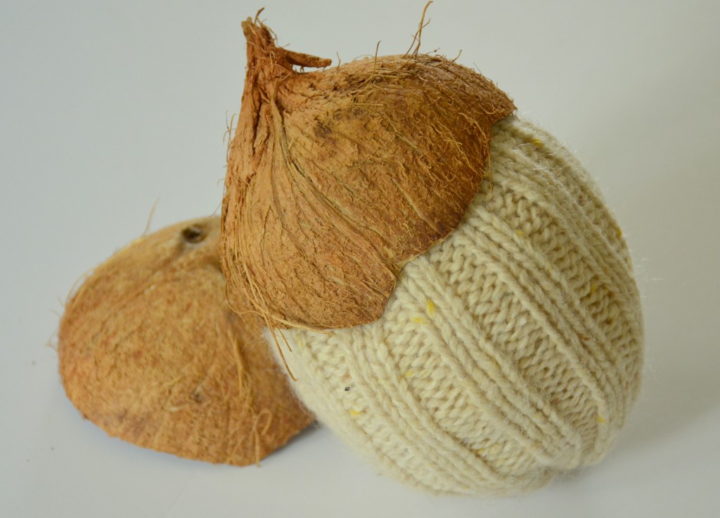 coconutty sweater acorns by dandelion patina