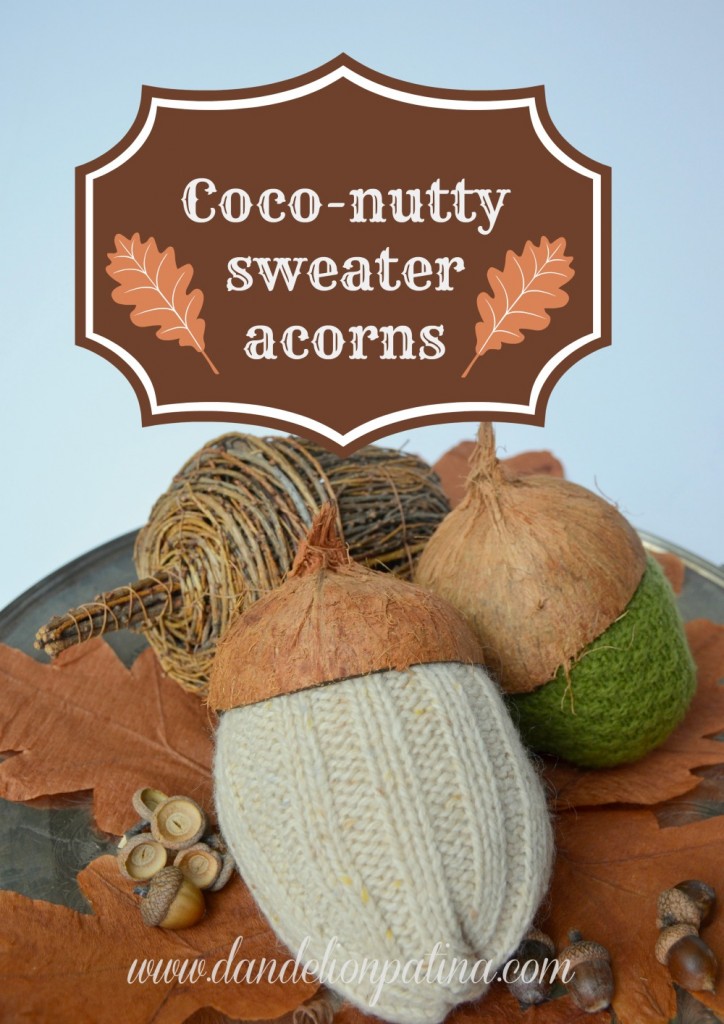 coconutty sweater acorns