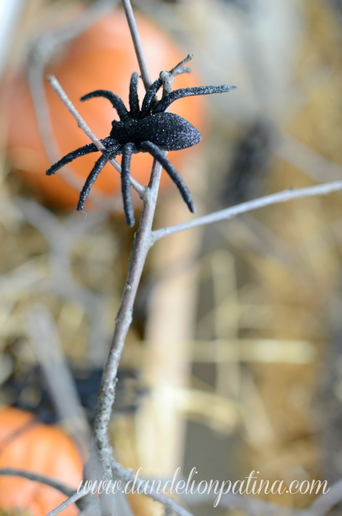 creepy black spider