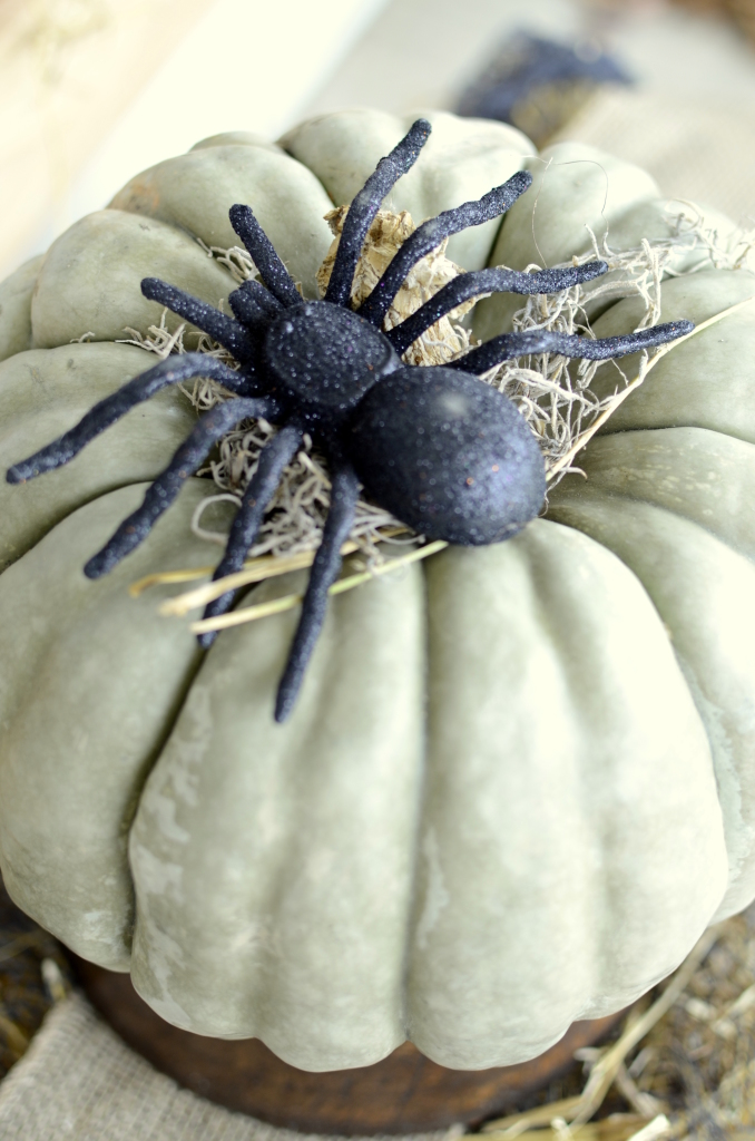 black spider on blue pumpkin