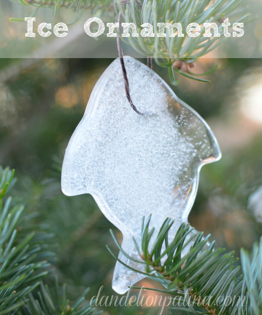 how to make ice ornaments