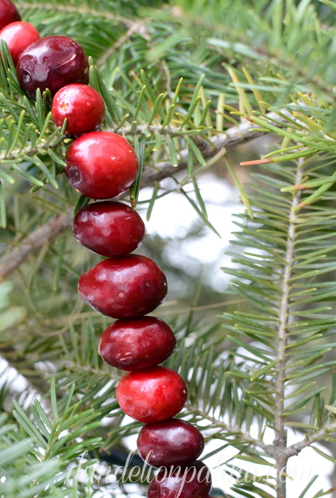 cranberry garland for the birds