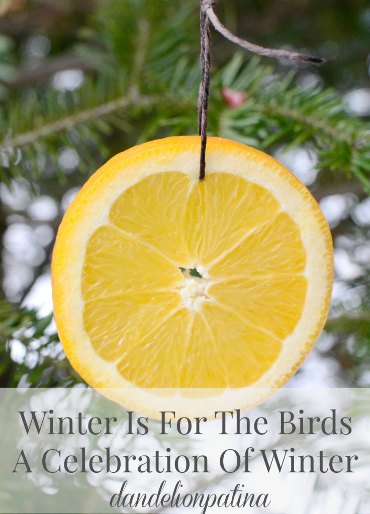 daily dose of Vitamin C winter is for the birds