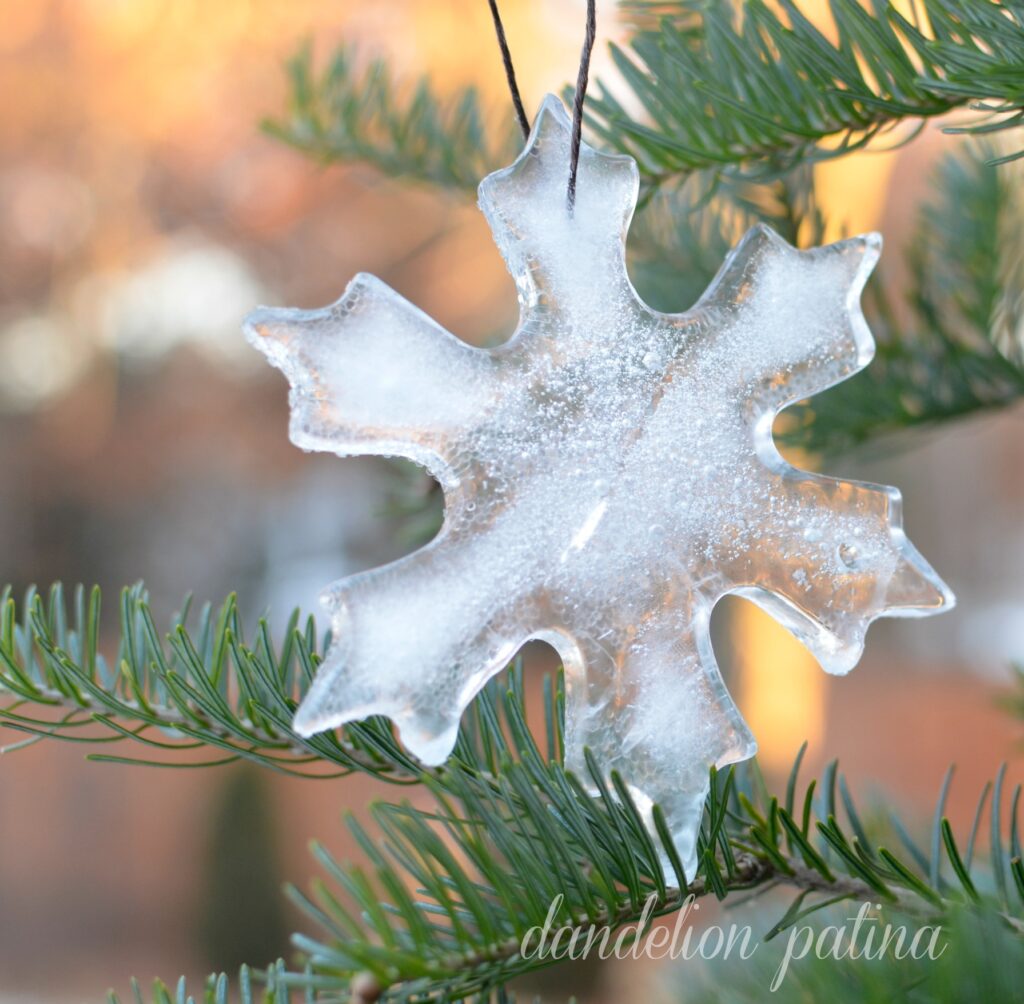 ice snowflake winter is for the birds