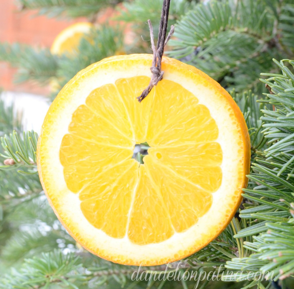 winter is for the birds sunshine with orange slices