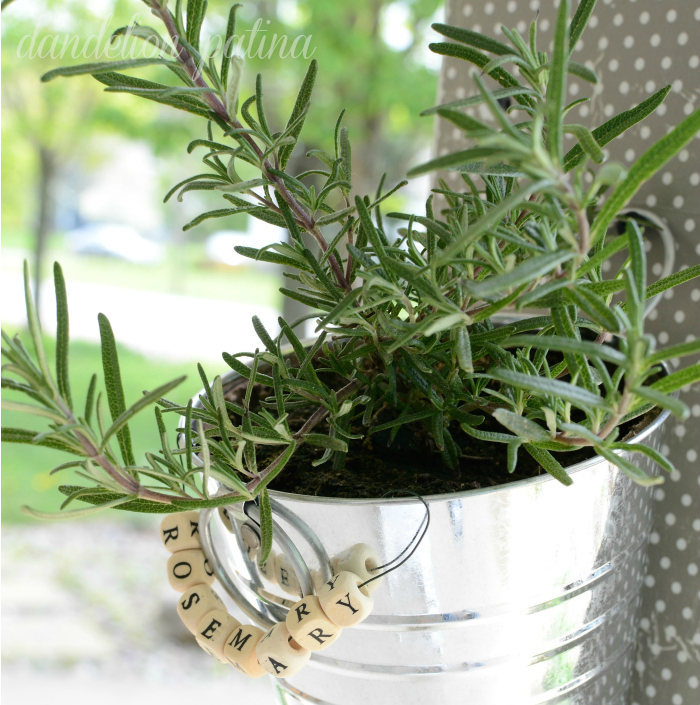 DIY hanging herb garden by dandelion patina